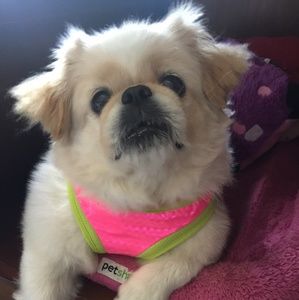 Meet your Posher, Steve